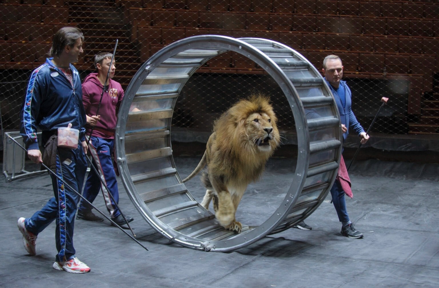 Открытая репетиция