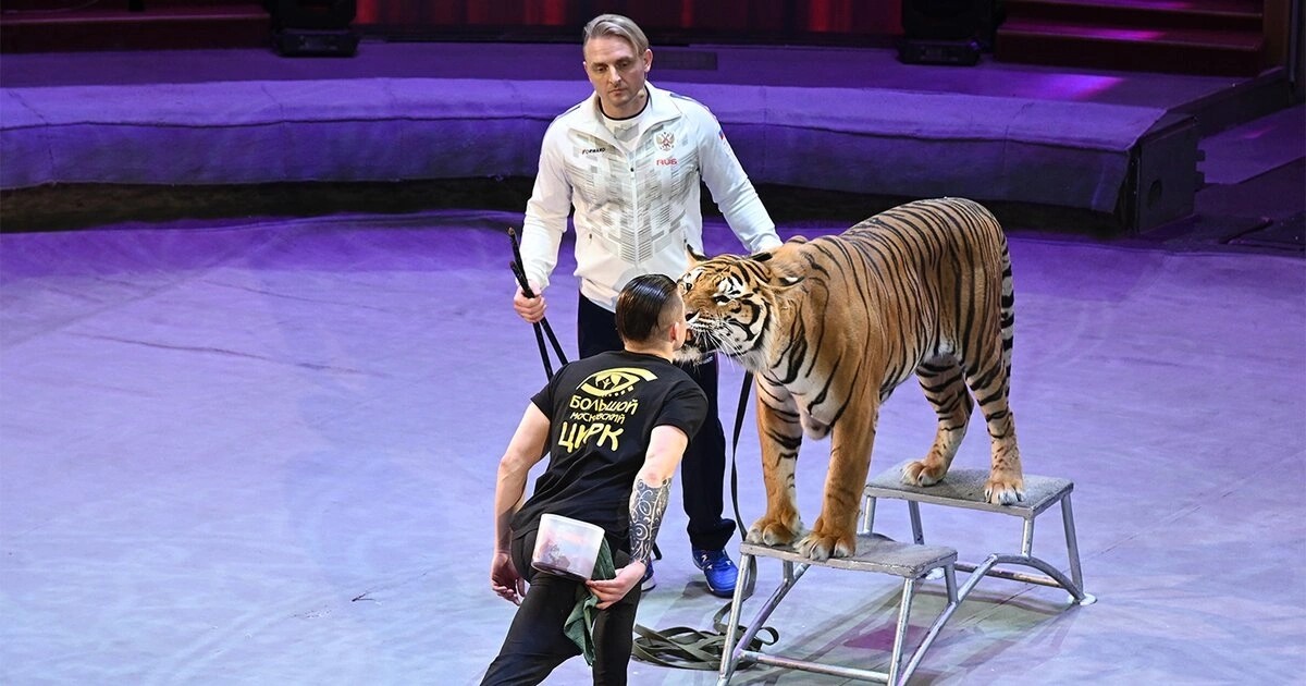 Открытая репетиция Открытая репетиция