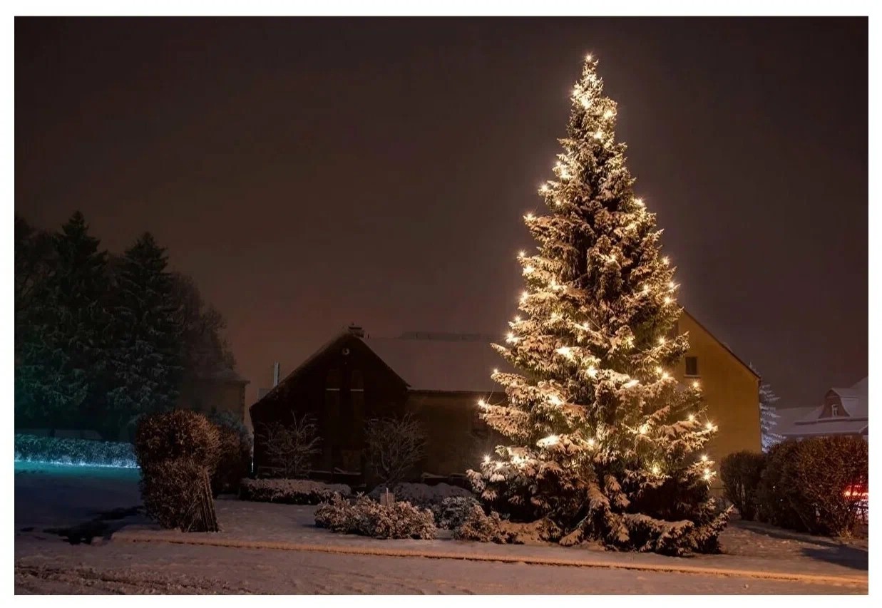 С Новым годом! Пусть он будет добрым и очень счастливым